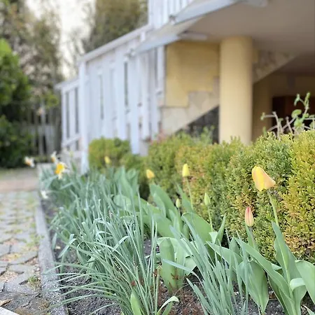 Ildiko Lak Σπίτι διακοπών *