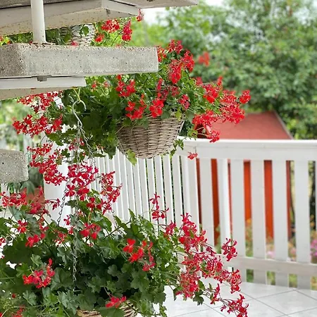 Ildiko Lak Vonyarcvashegy