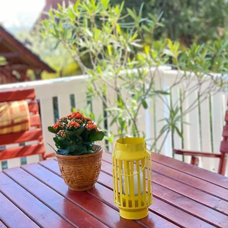 Ildiko Lak Holiday home Vonyarcvashegy