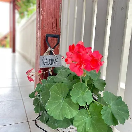 Ildiko Lak Vonyarcvashegy