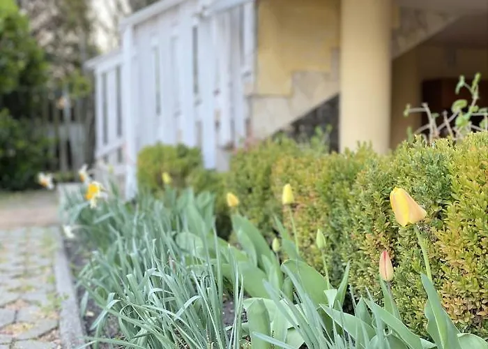 Ildiko Lak Hébergement de vacances *