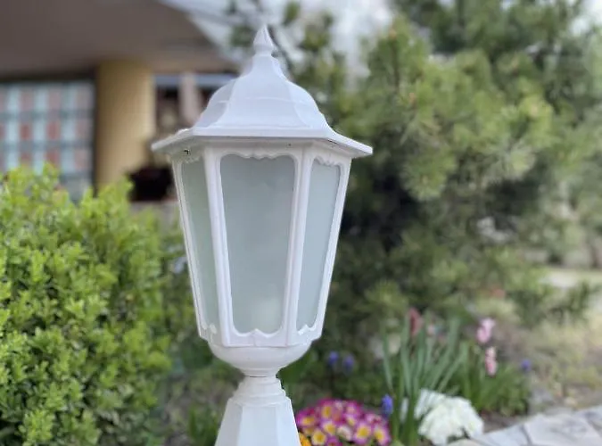 Ildiko Lak * Vonyarcvashegy