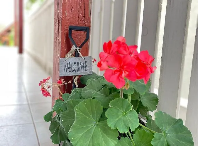 Ildiko Lak פוניארצוושהג'